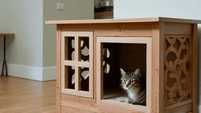 Adoption Success: Profiles of Long-Term Shelter Pets Who Found True Love